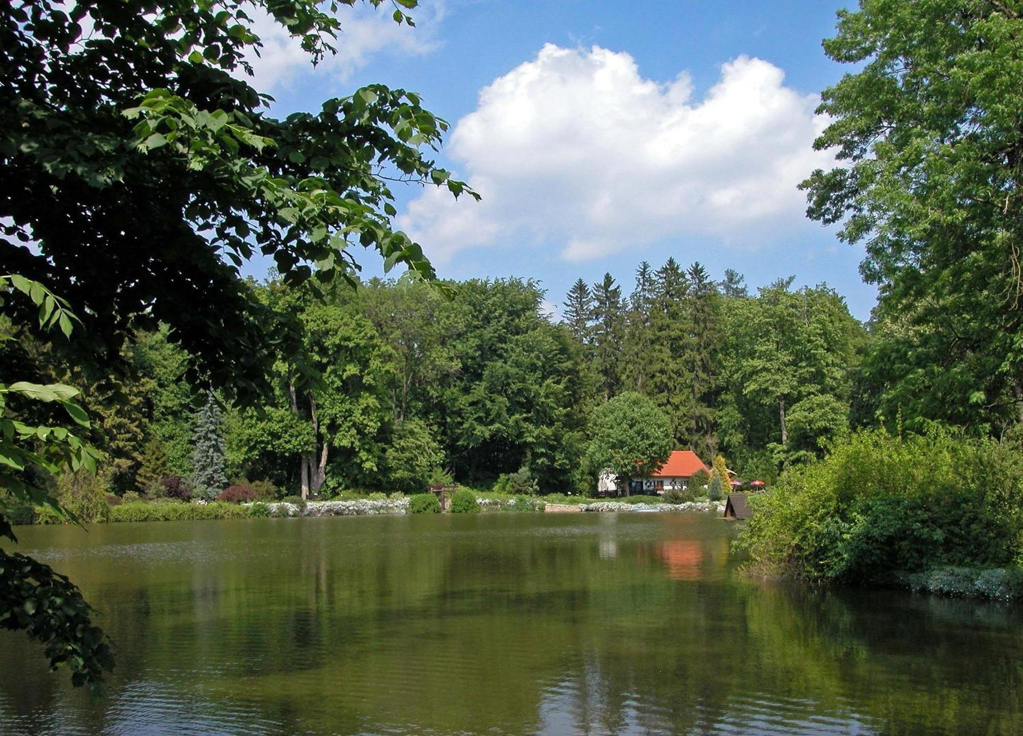 Rezkakas Fogado Bed and Breakfast Zirc Eksteriør billede